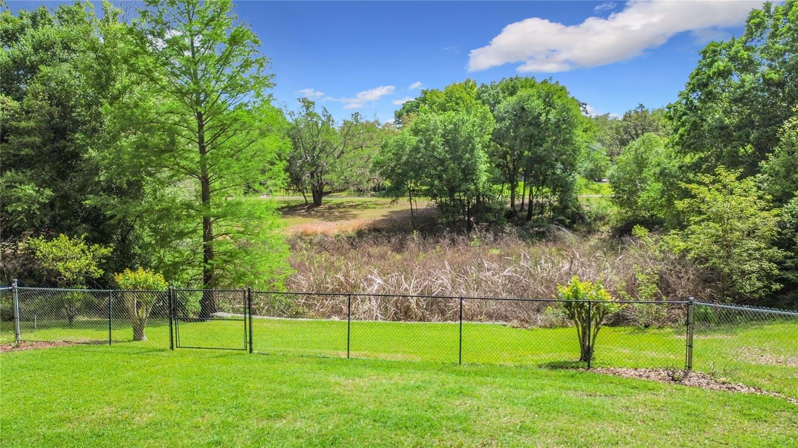 SPRING PINES - Residential