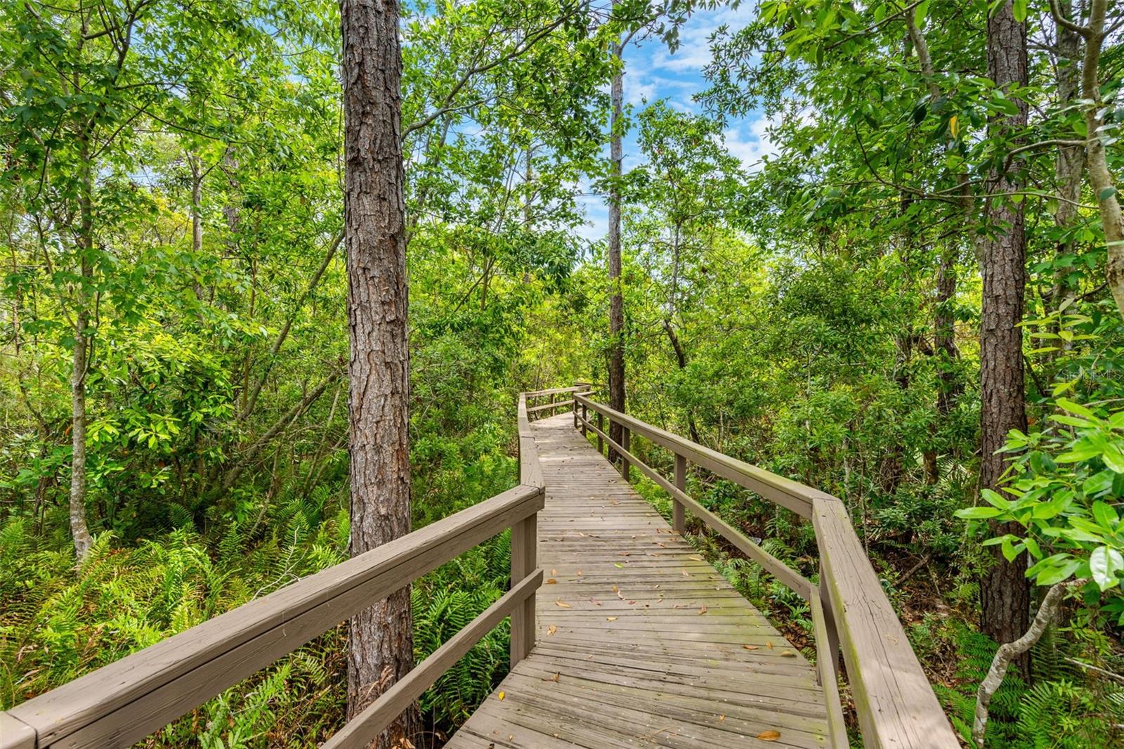 LAKE KEHOE PRESERVE 45/87 - Residential