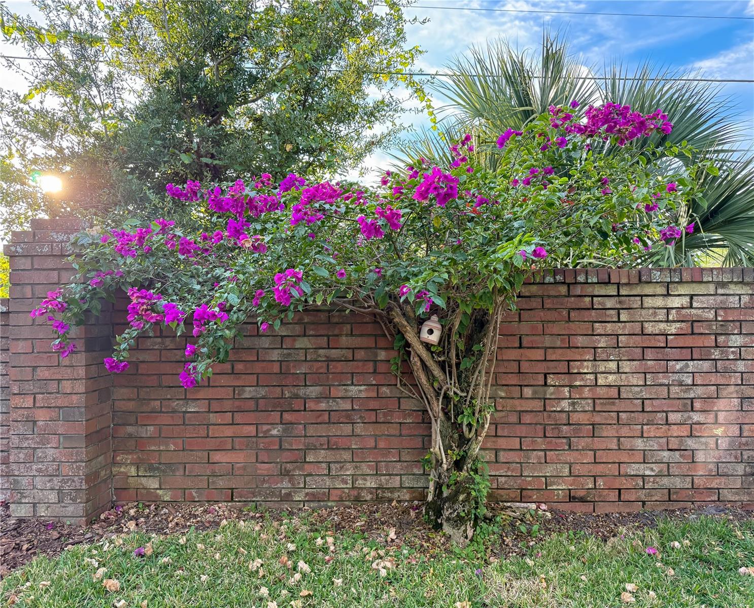 MONTCLAIR - Residential