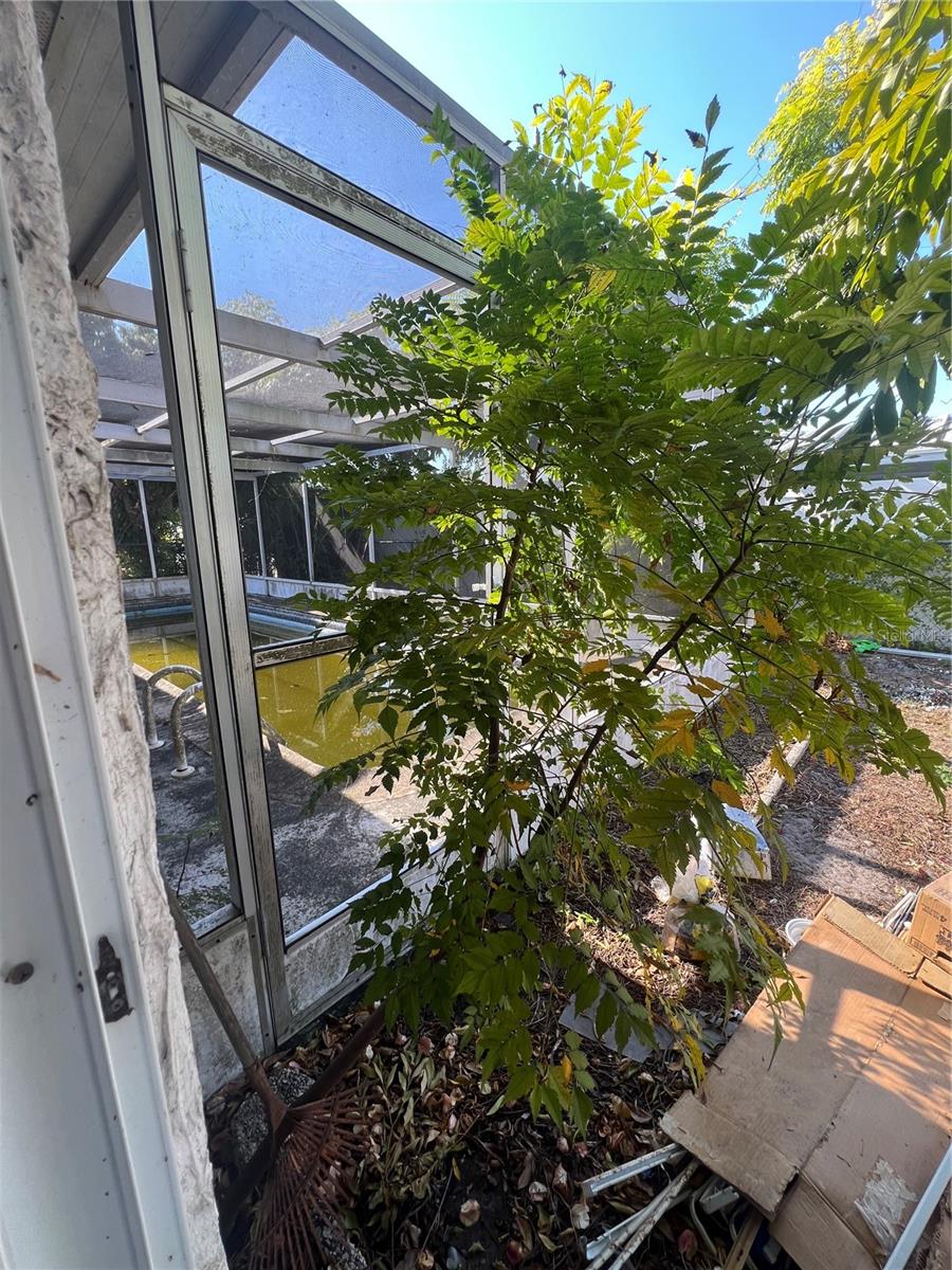 EMBASSY HILLS - Residential