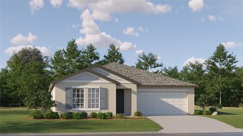 10301 GENTLE RAIN DRIVE LAND O LAKES FL 34638