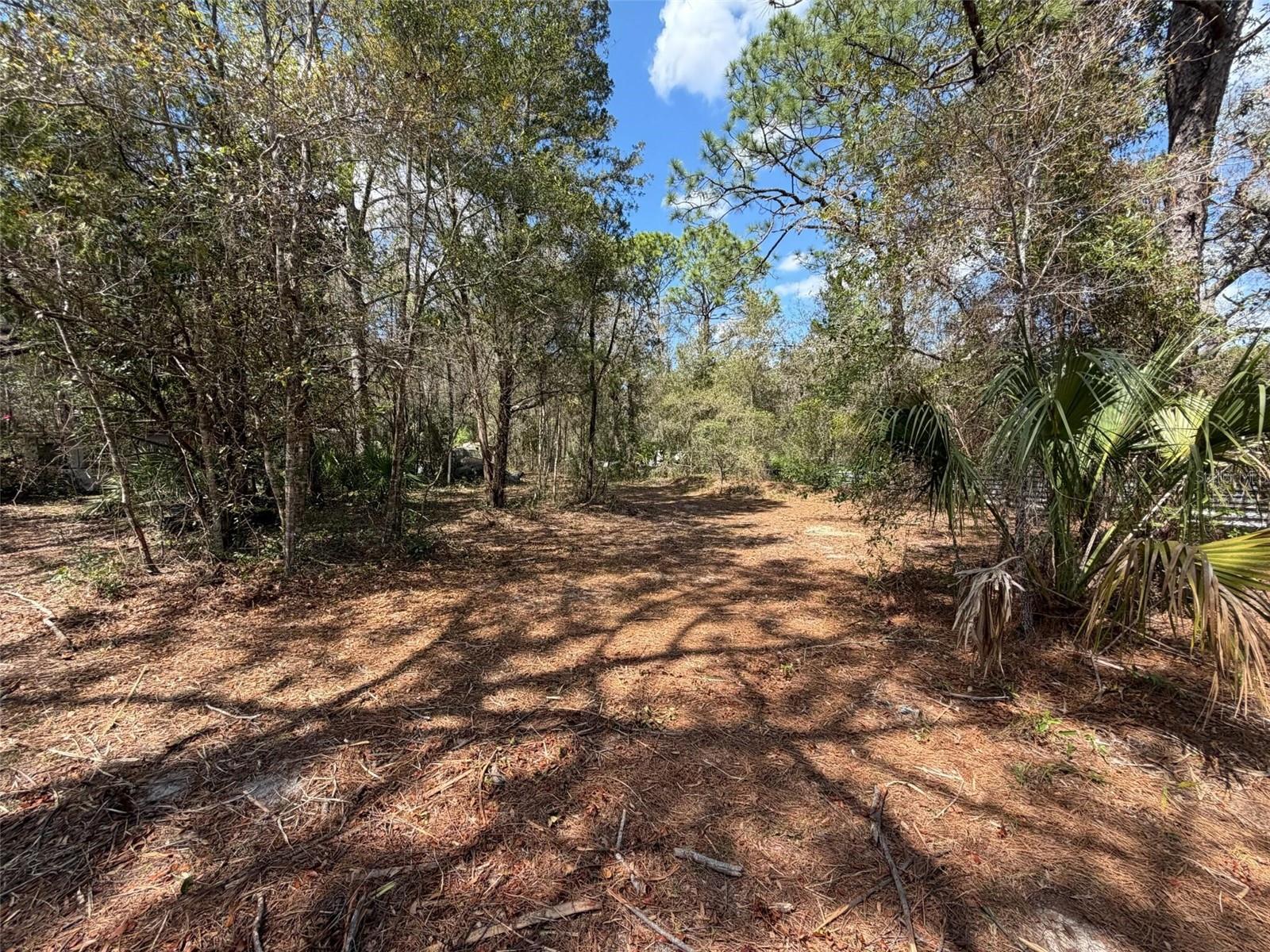 PINE TREE VILLAS UNREC - Residential