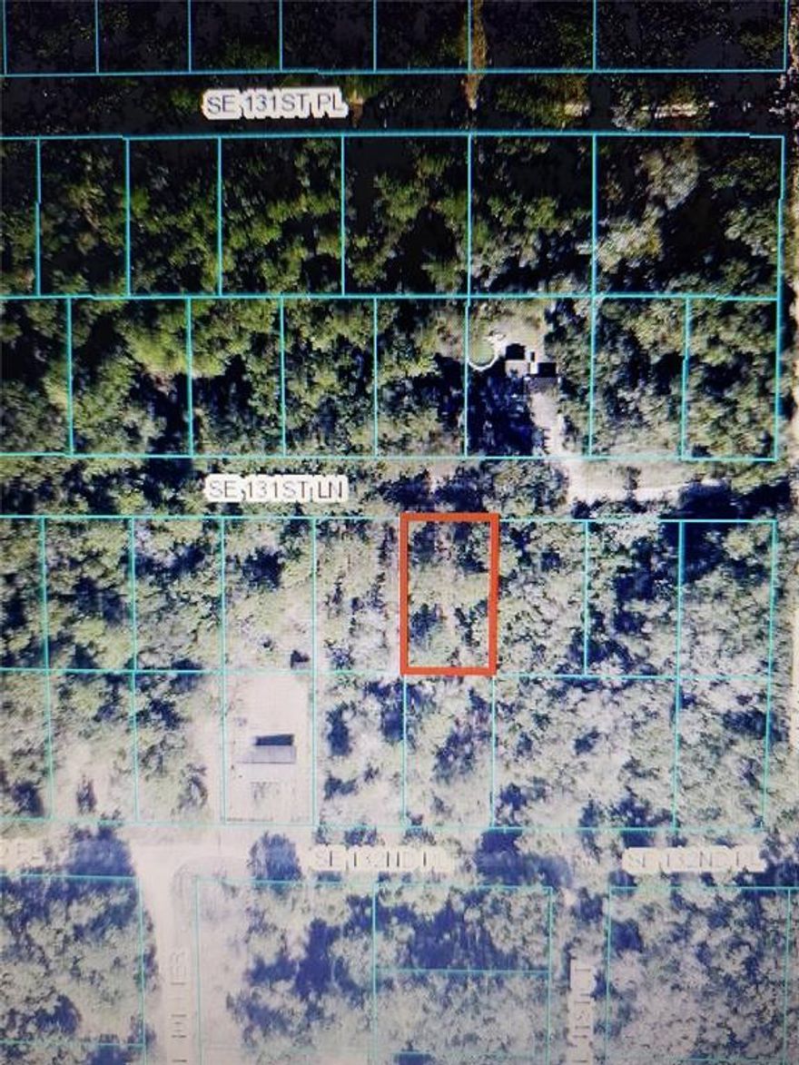 Prime buildable lot in Belleview Heights Estates! This property is .22 acres (75 x 128). Zoned R-1.  Don't wait, go take a look today! Lots of building going on in this area. Conveniently located to Belleview, The Villages and Ocala. Also, convenient to I-75, 441/27 and 301.