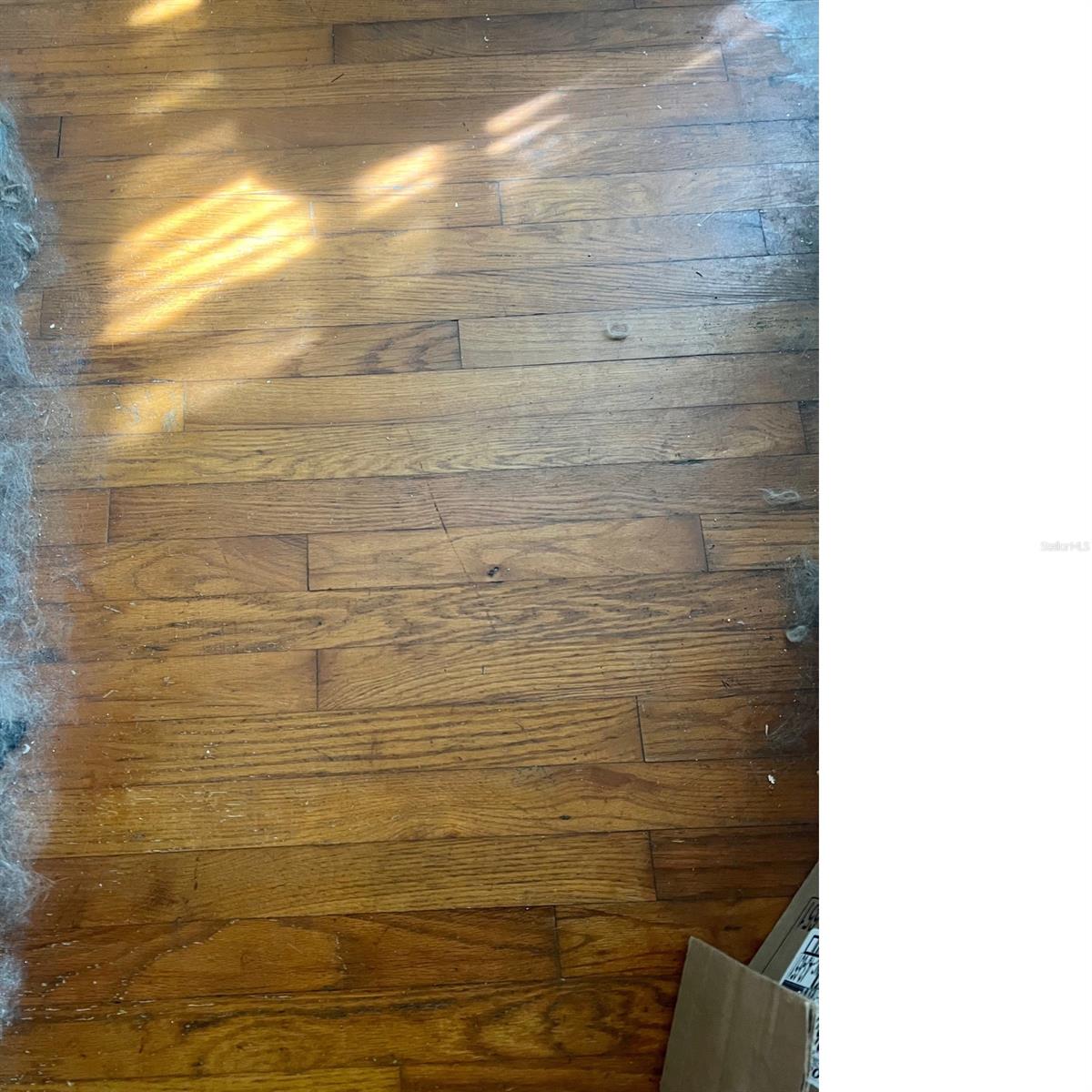 Lovejoy F E Add New Smyrna - Residential