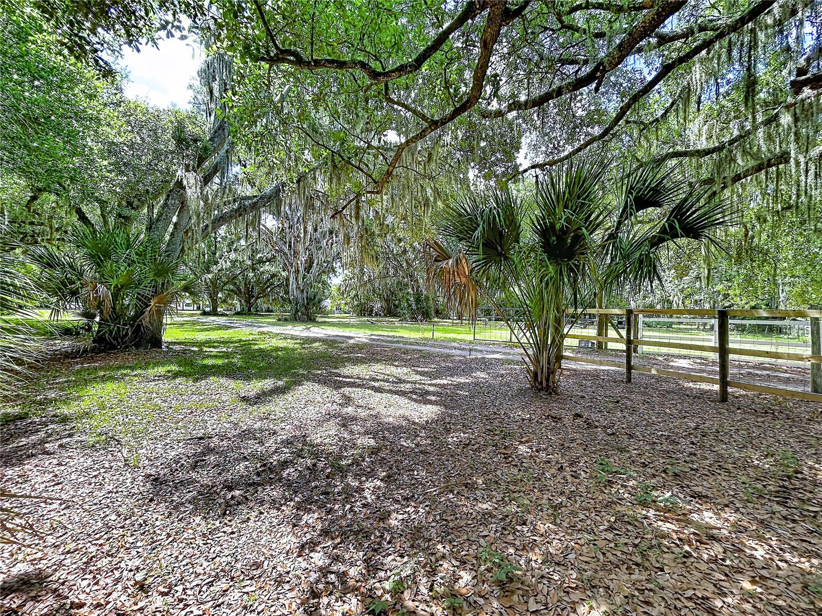 11008 BROWNING ROAD