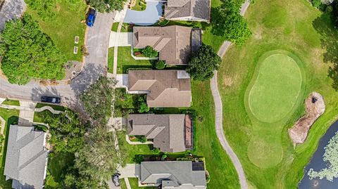 A home in MOUNT DORA