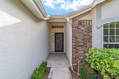 A home in MOUNT DORA