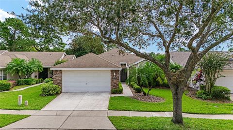 A home in MOUNT DORA