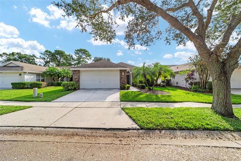 A home in MOUNT DORA