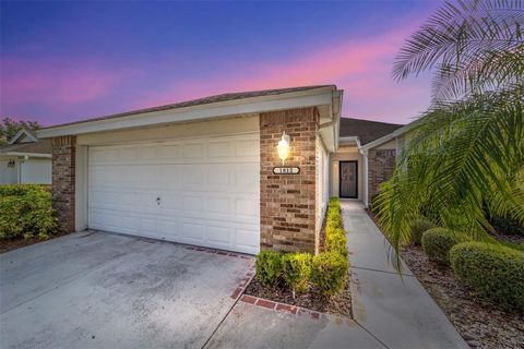 A home in MOUNT DORA