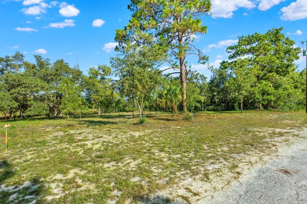 Photo of 0 Condor Road, Brooksville, FL 34614 (MLS # TB8523577)