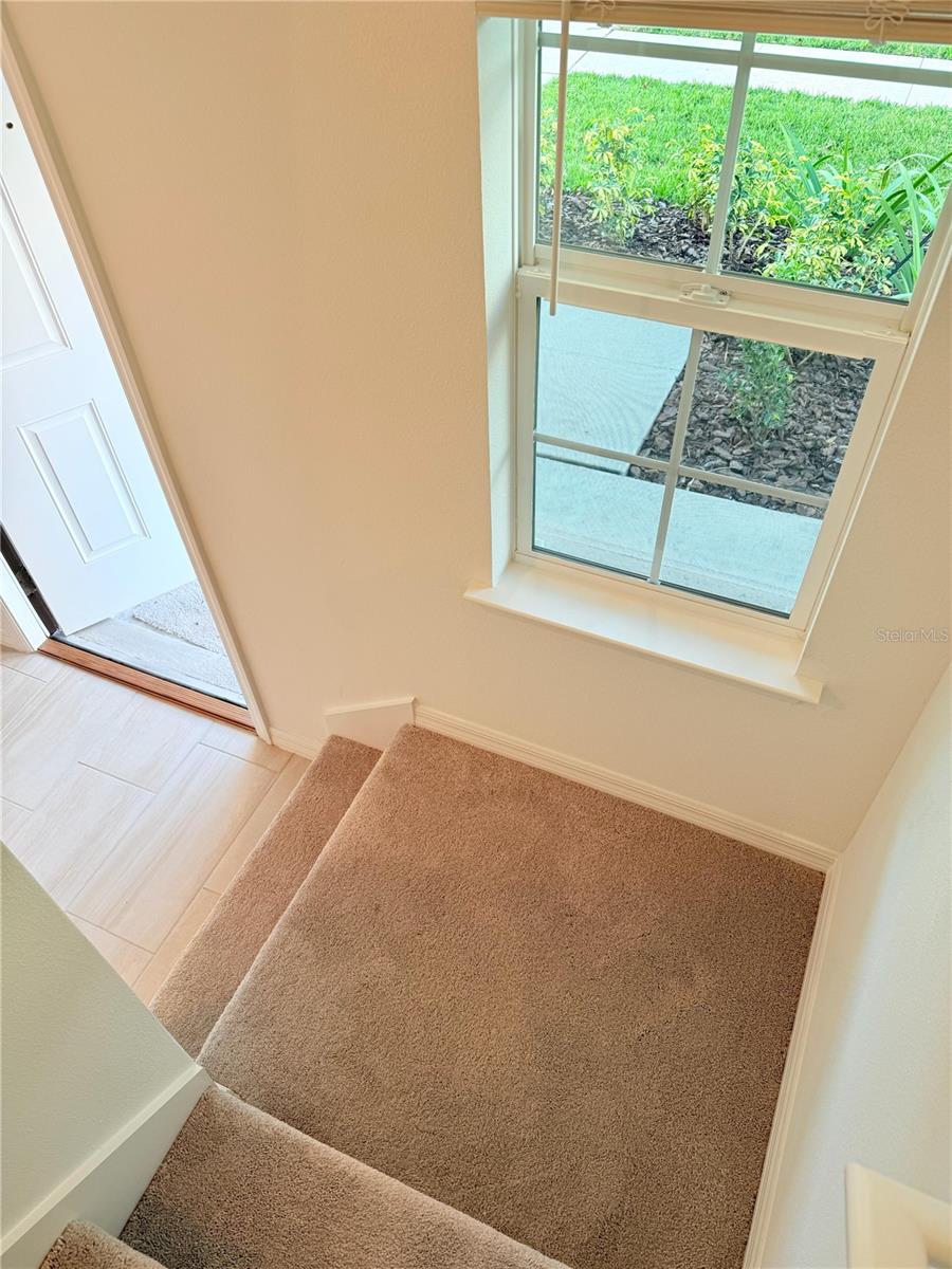 ANGELINE - Residential Lease