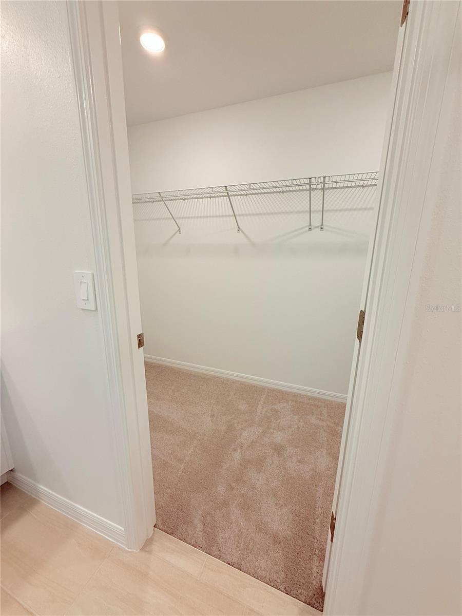 ANGELINE - Residential Lease