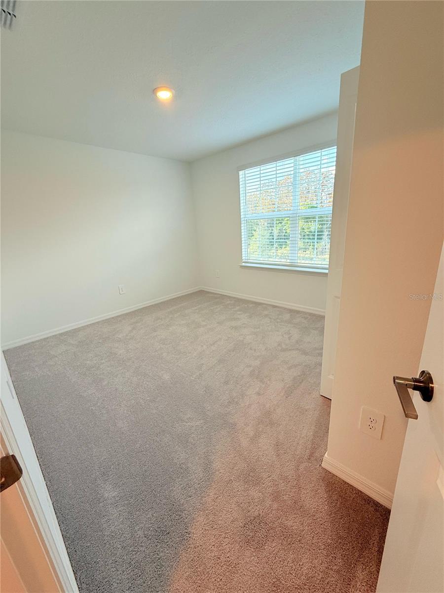 ANGELINE - Residential Lease