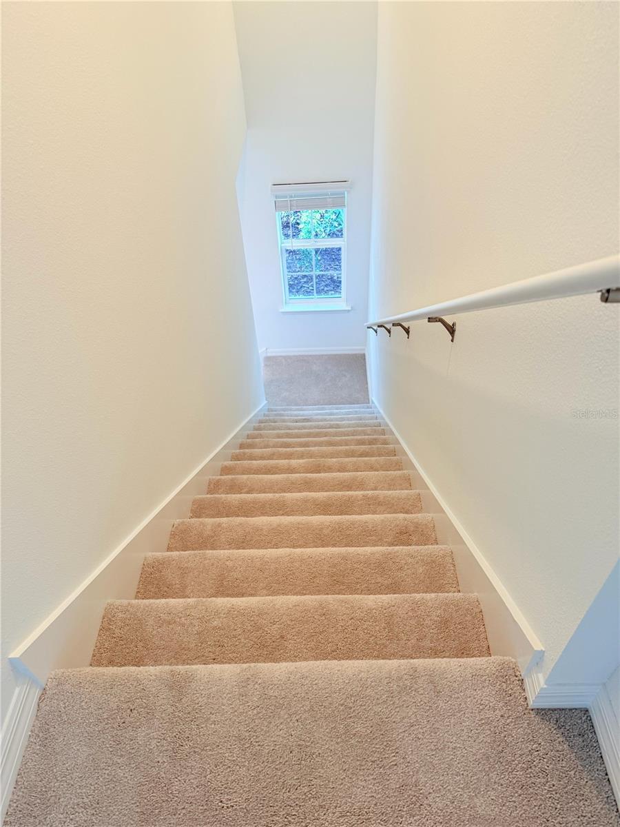 ANGELINE - Residential Lease