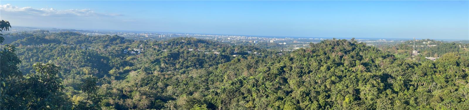 HOLLYWOOD HILLS HOA - Residential