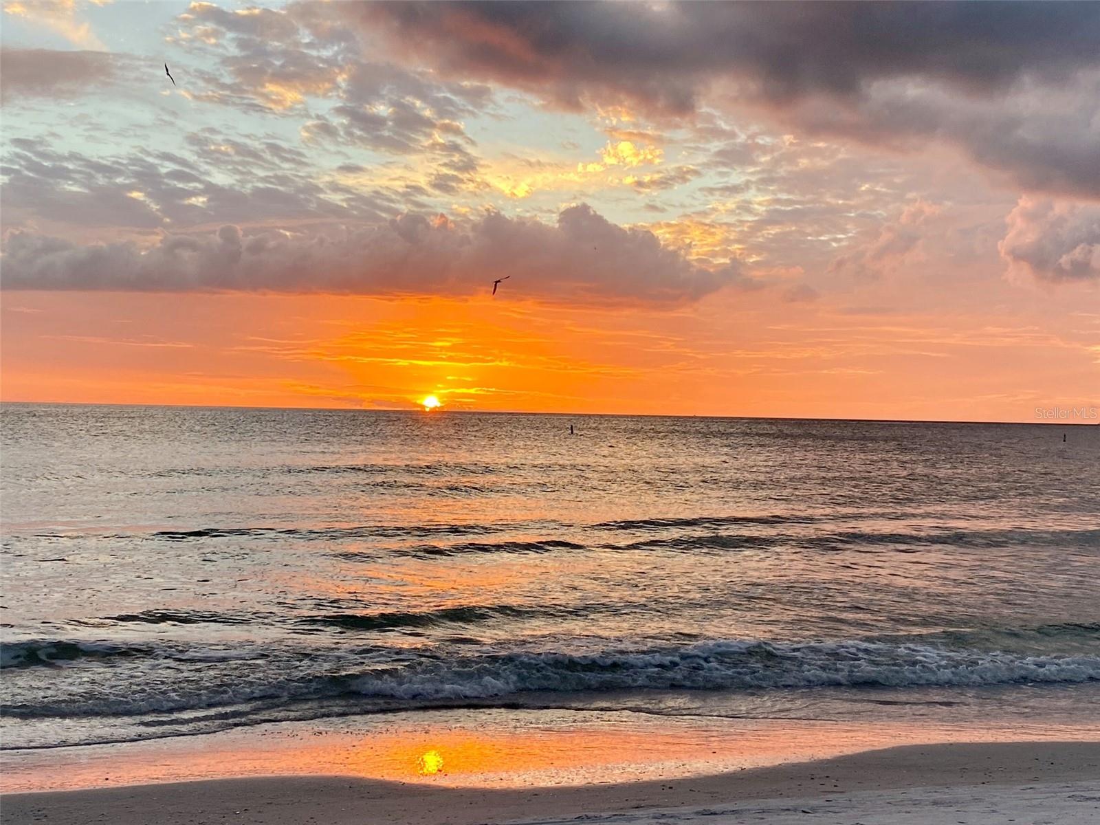 PALMS OF TIERRA - Residential