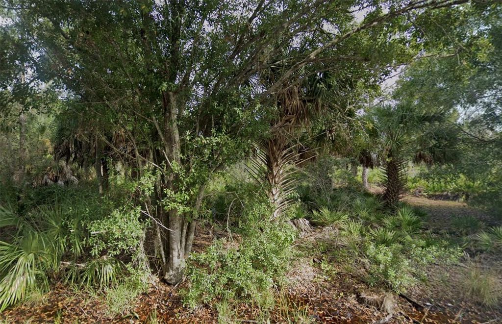 Photo of 3382 Tiffiny Street, Port Charlotte, FL 33980 (MLS # O6385982)