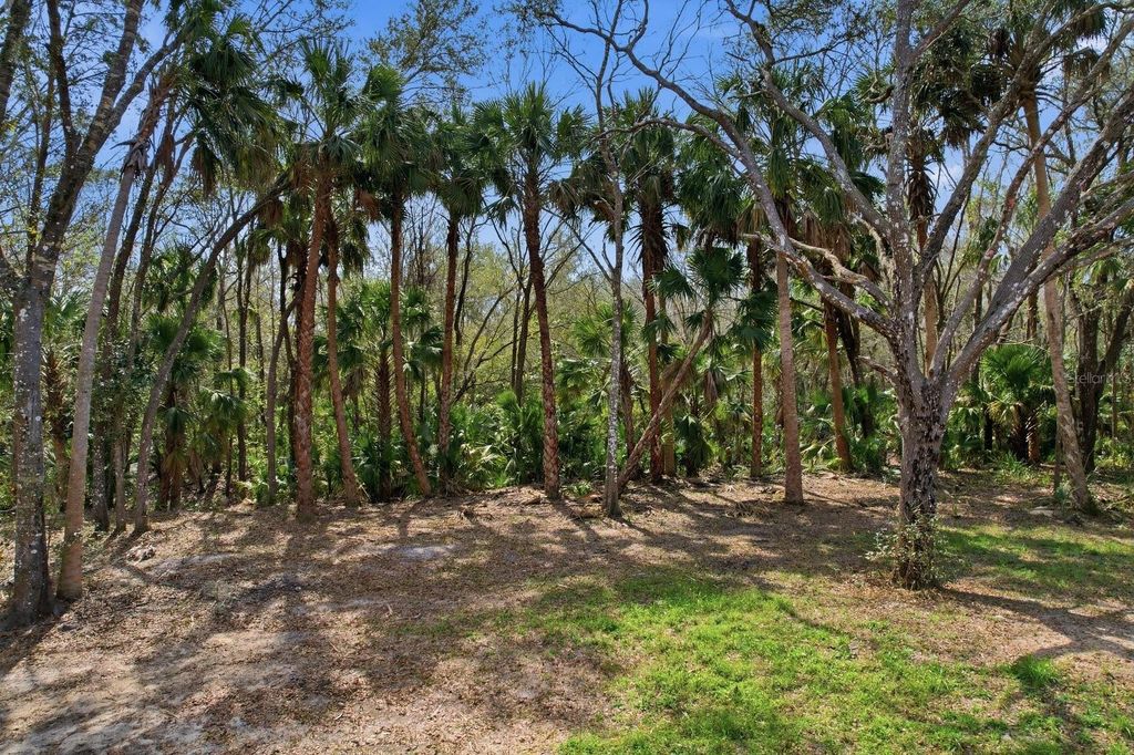 Photo of 490 N Robin Hood Road, Inverness, FL 34450 (MLS # OM719296)