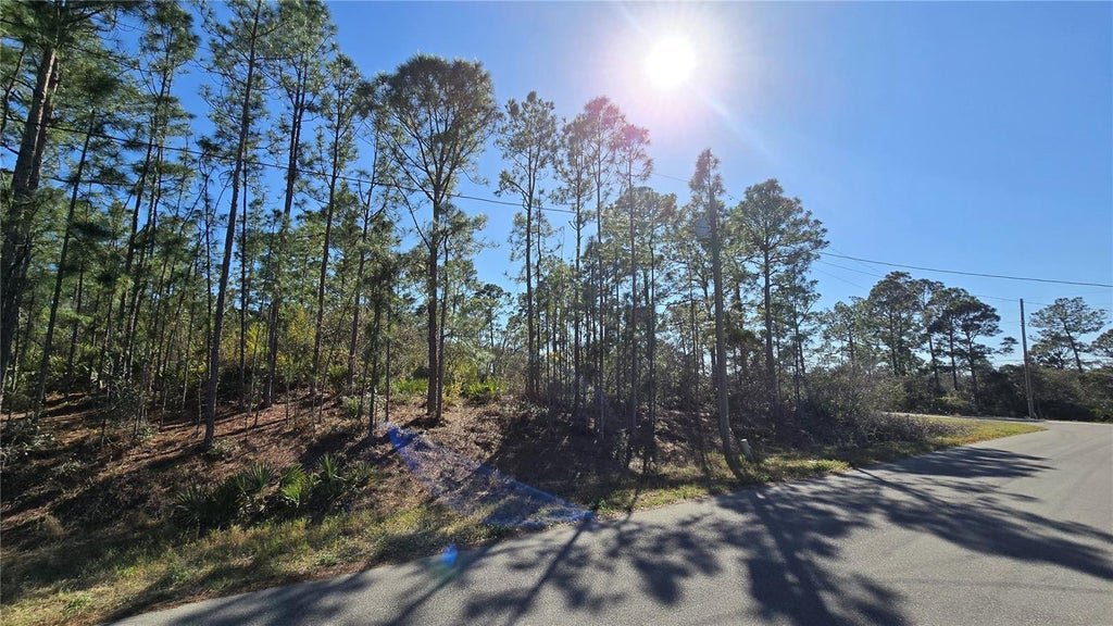 Photo of 103 Sentimental Court, Lake Placid, FL 33852 (MLS # P4939953)
