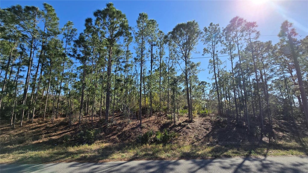 Photo of 103 Sentimental Court, Lake Placid, FL 33852 (MLS # P4939953)