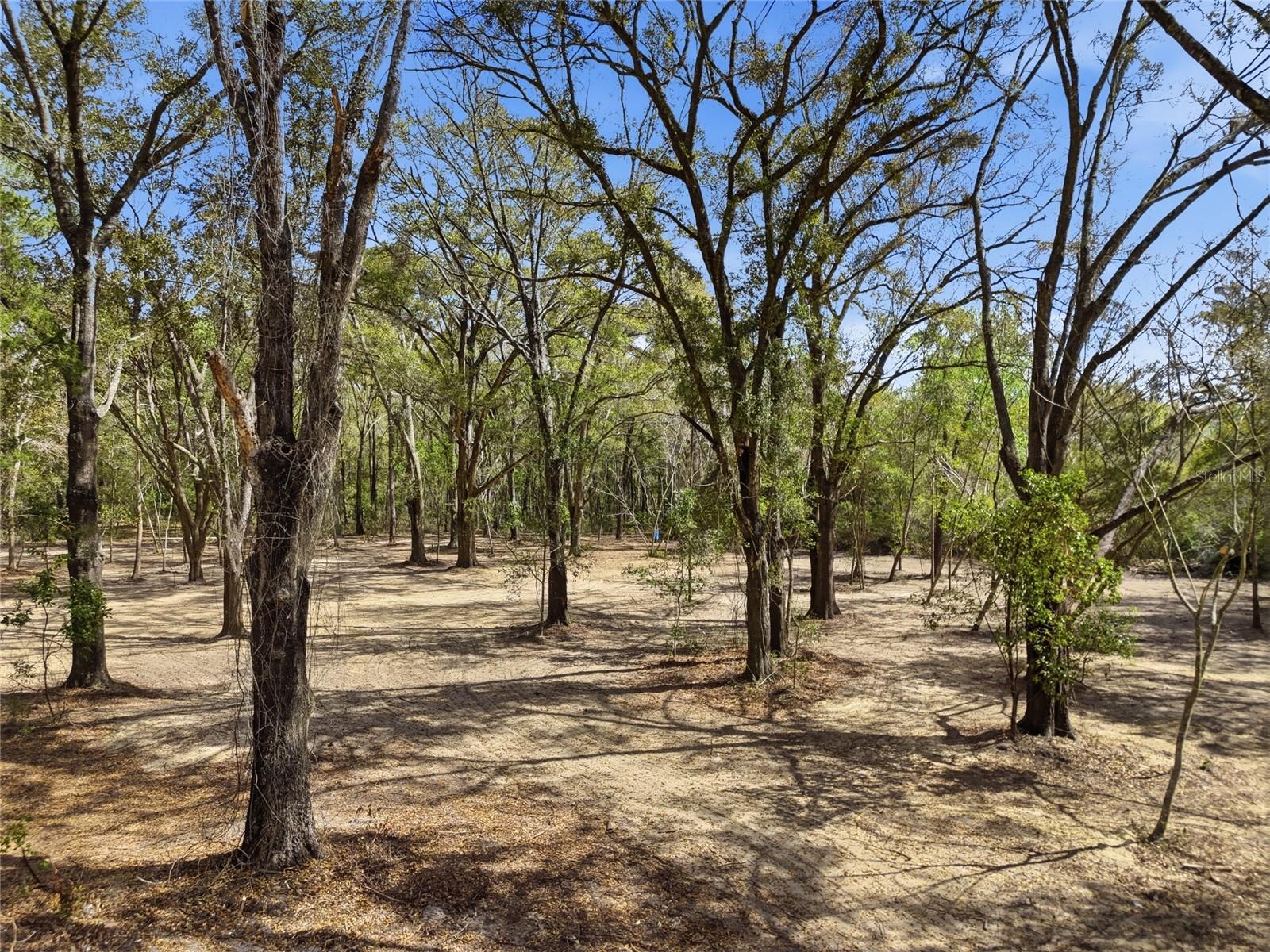 FOXWOOD ACRES SUB - Residential