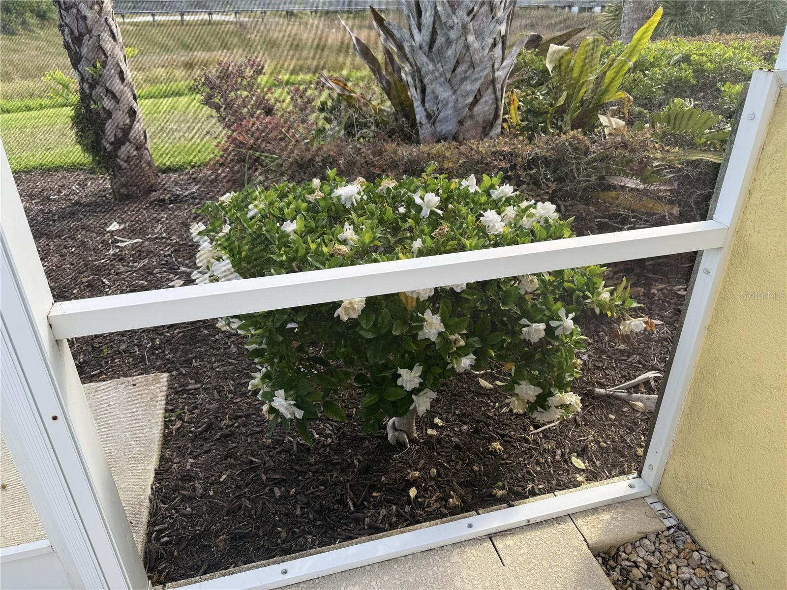 ISLANDWALK AT WEST VILLAGES PH 02 - Residential