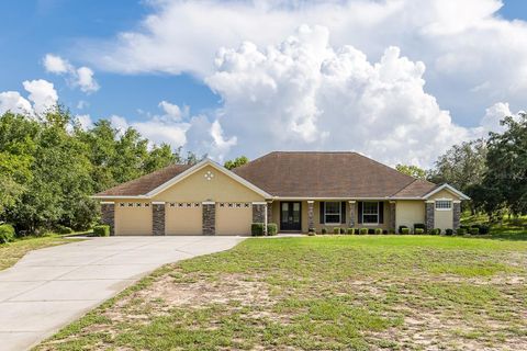Photo of 343 Royal Palm Way, Spring Hill, FL 34608 (MLS # W7887601)