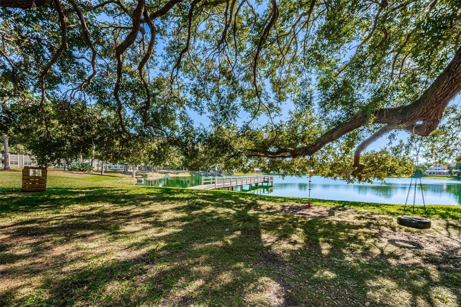 LAKE VALENCIA - - Residential