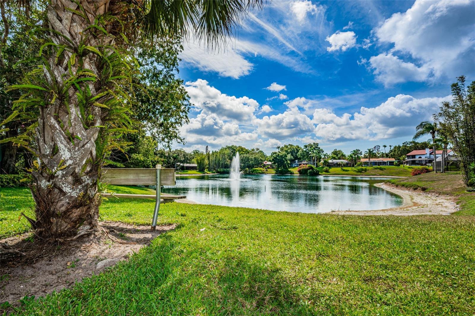 LAKE VALENCIA - - Residential