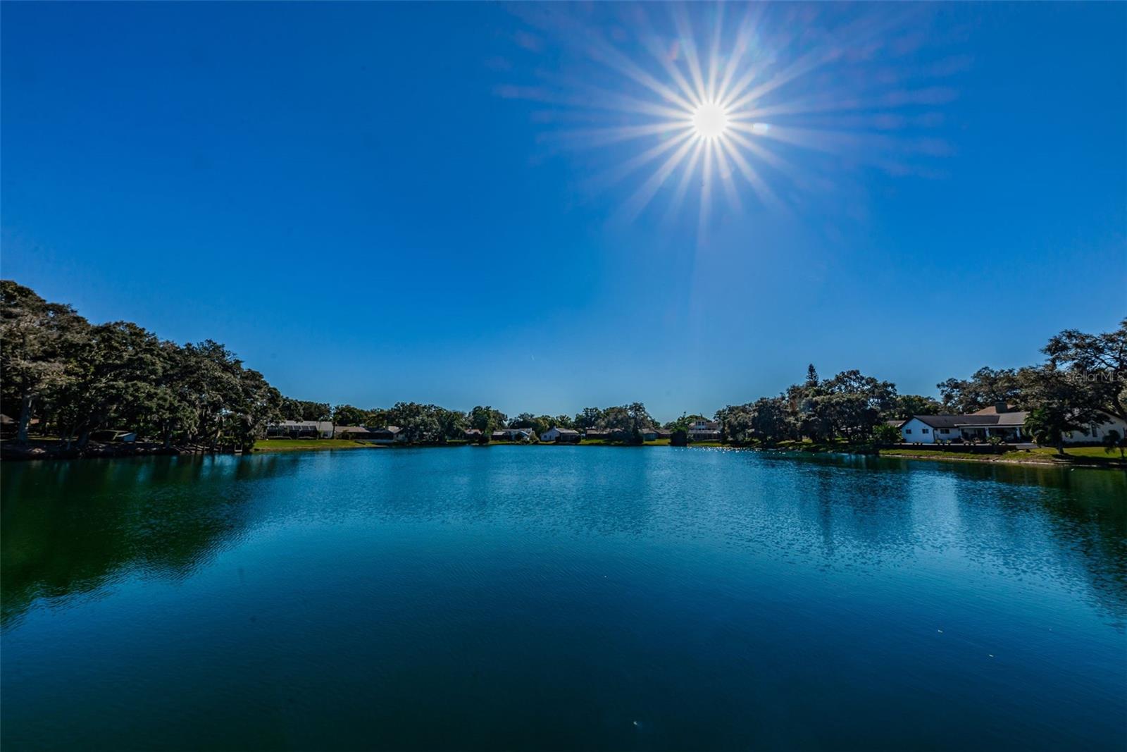 LAKE VALENCIA - - Residential