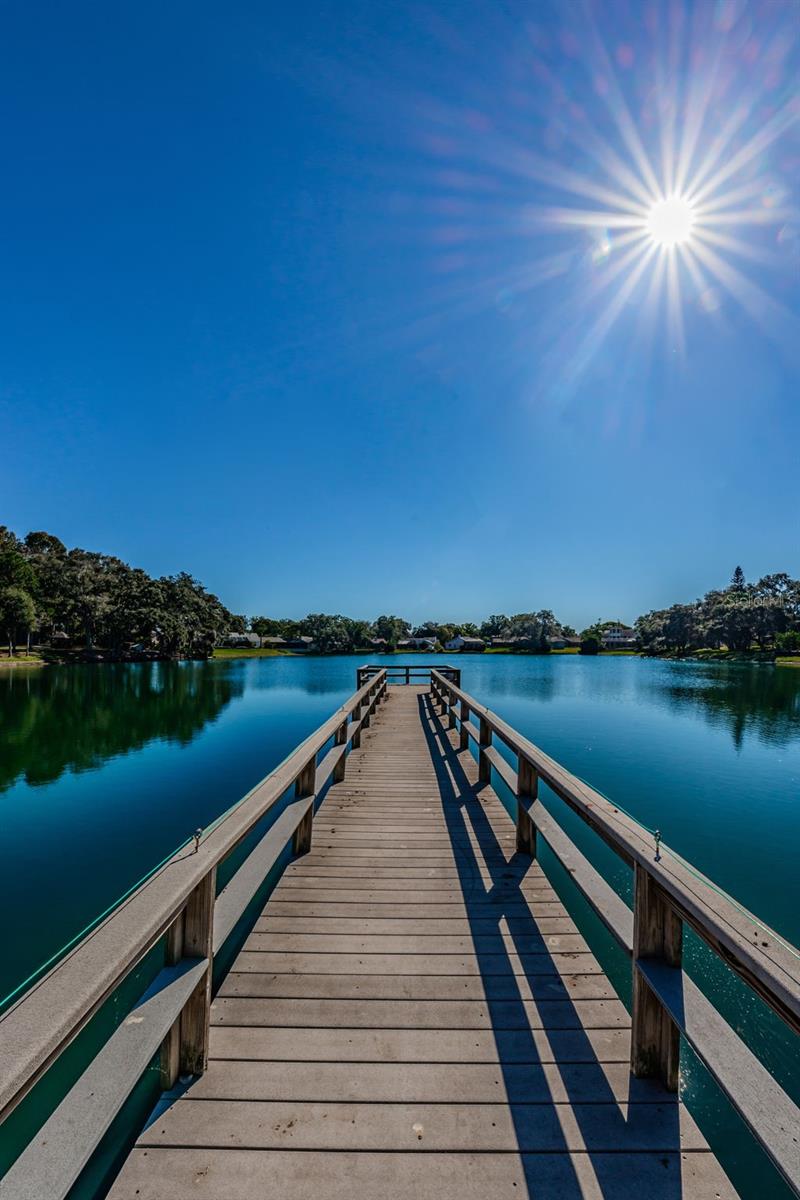 LAKE VALENCIA - - Residential
