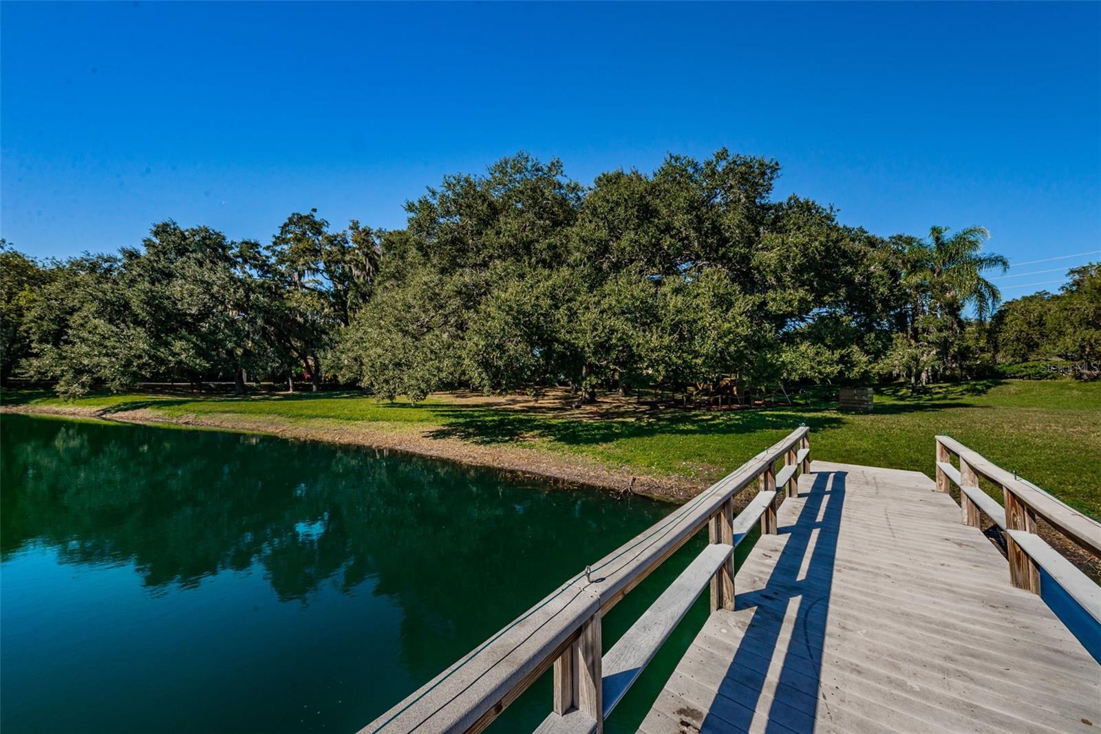 LAKE VALENCIA - - Residential