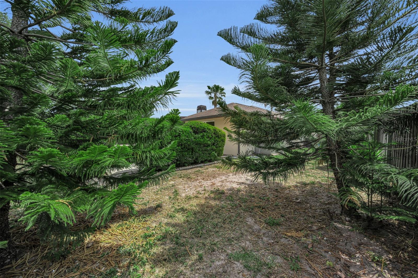 LAKE VALENCIA - - Residential