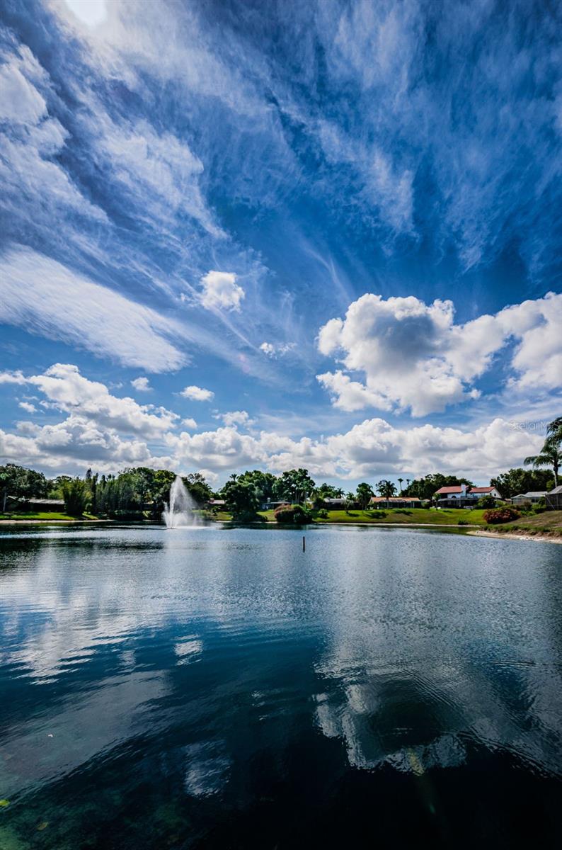 LAKE VALENCIA - - Residential