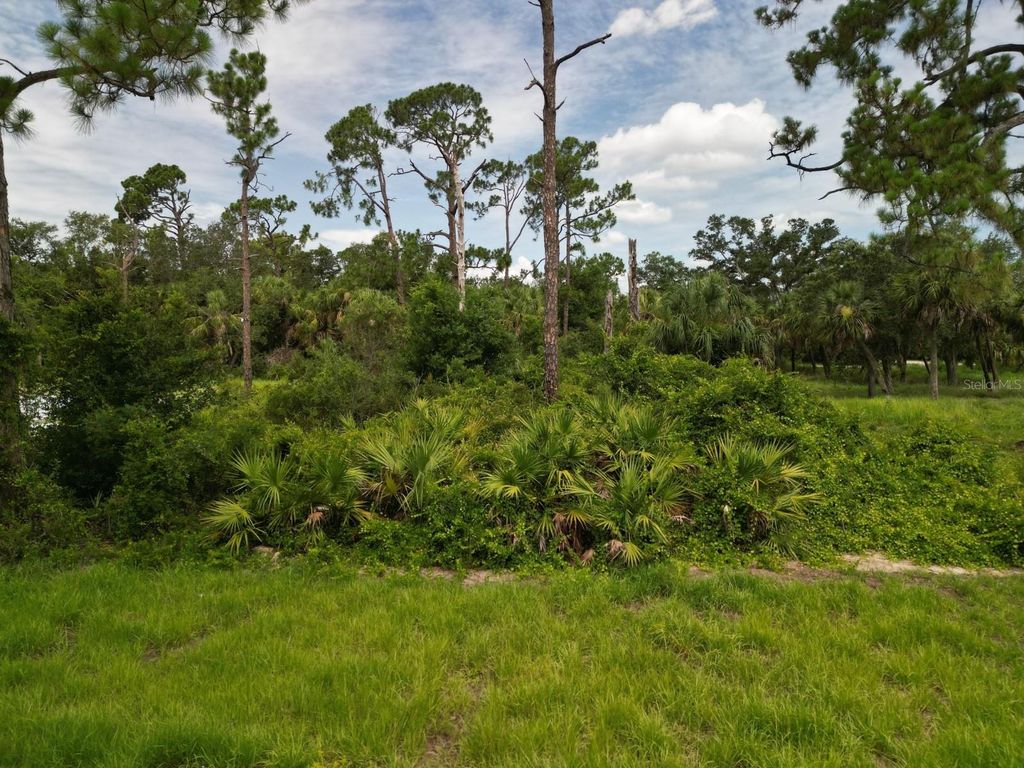 Photo of 63 Sherbourne Street, Port Charlotte, FL 33954 (MLS # C7511908)
