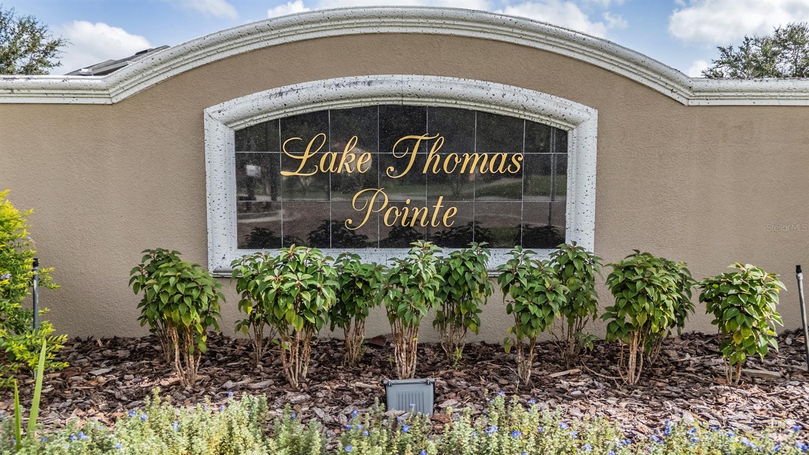 LAKE THOMAS POINTE - Residential