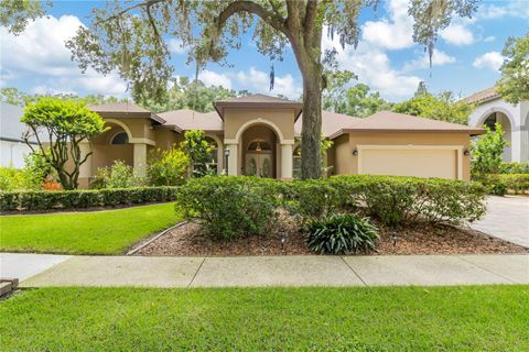 A home in TAMPA