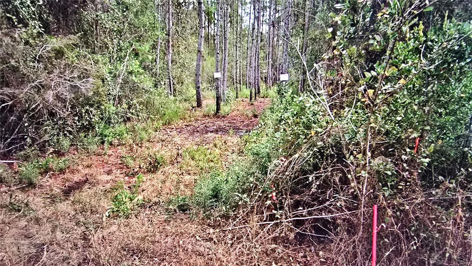 00 MEMORY LANE