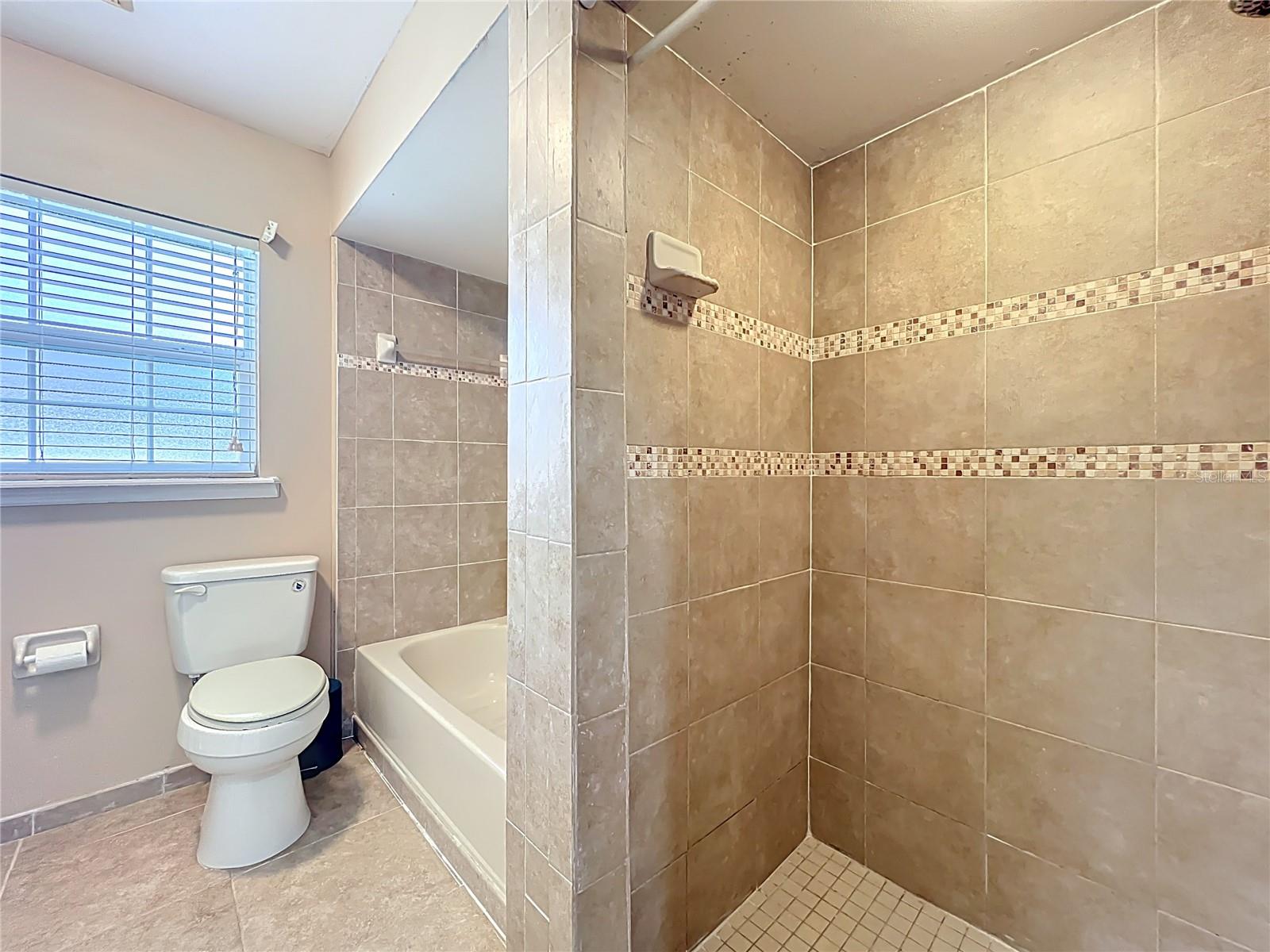 MEADOWS AT RIO PINAR - Residential