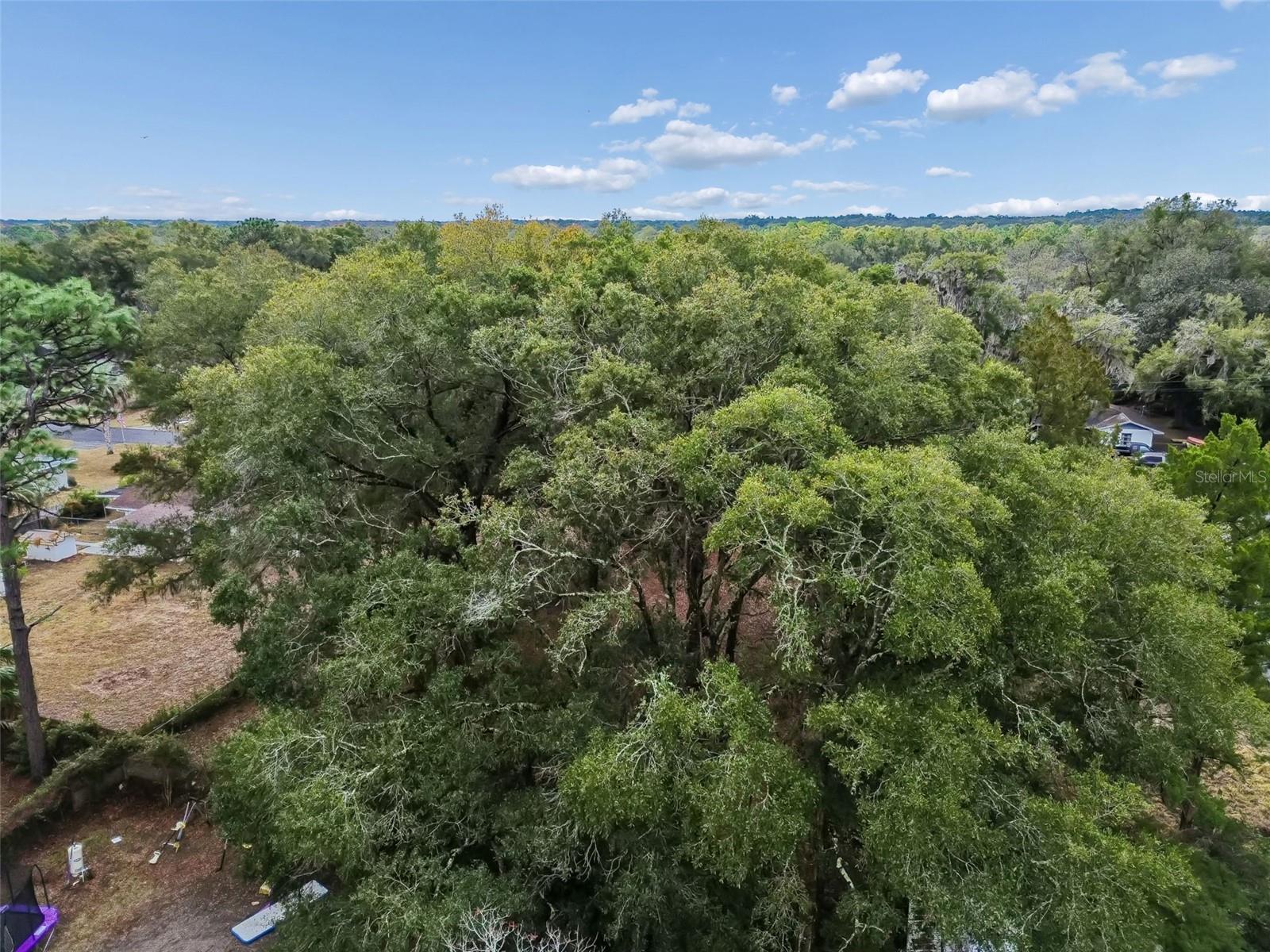 SPORTSMENS PARK - Land