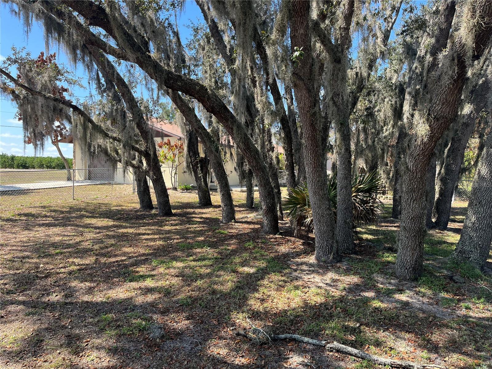 AVON PARK LAKES - Residential