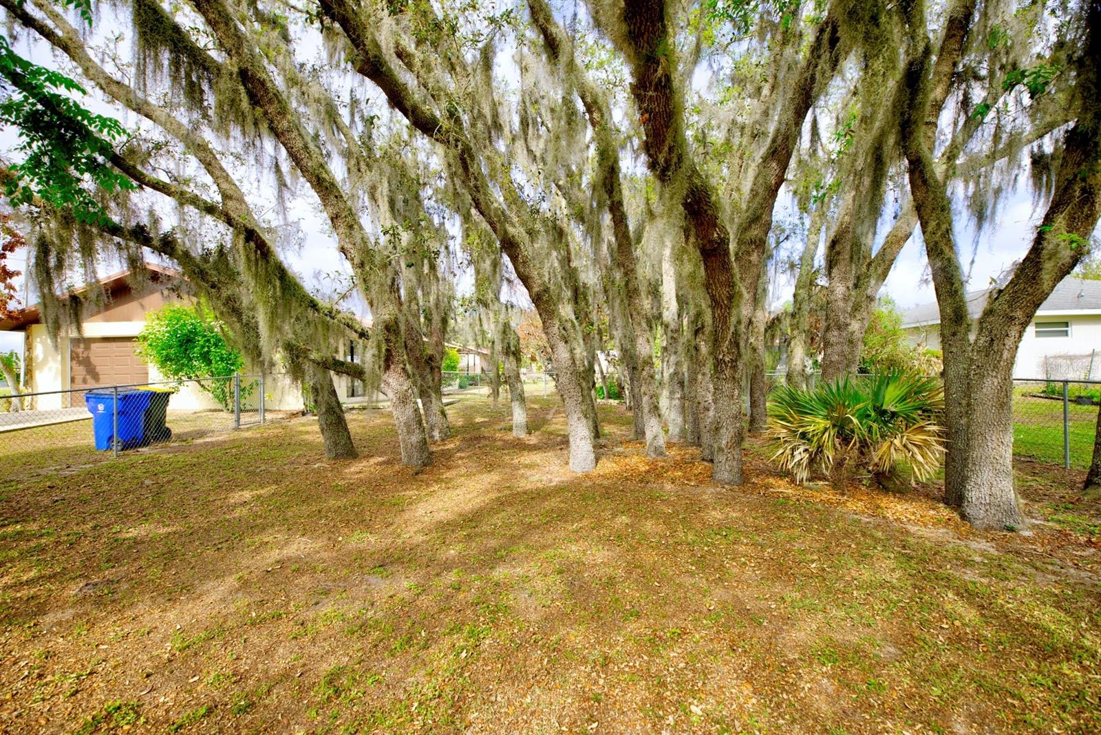 AVON PARK LAKES - Residential