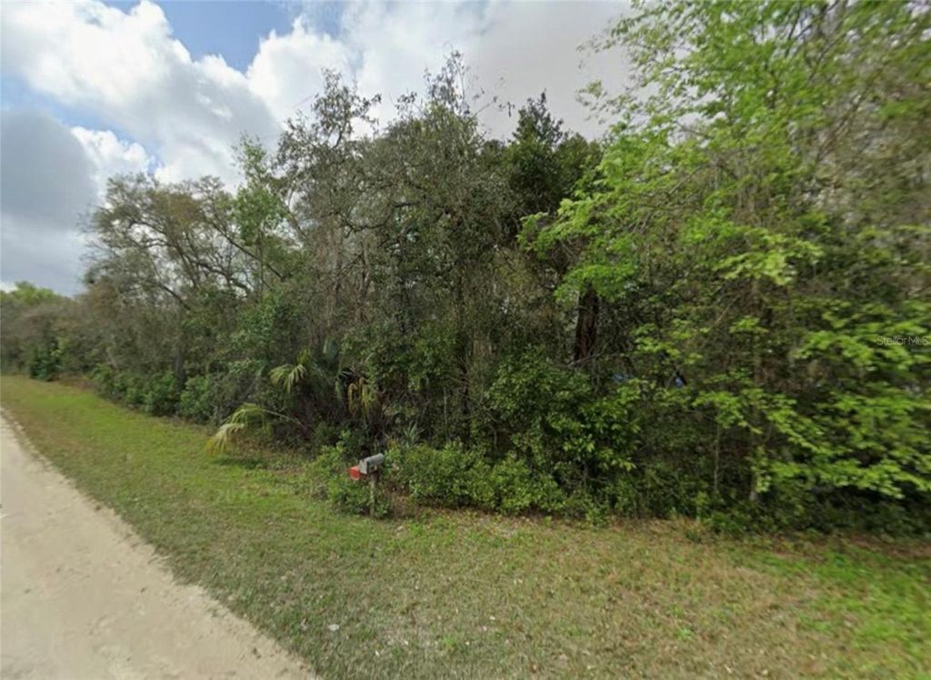 Photo of 6384 N Sourgum Terrace, Hernando, FL 34442 (MLS # OM710810)