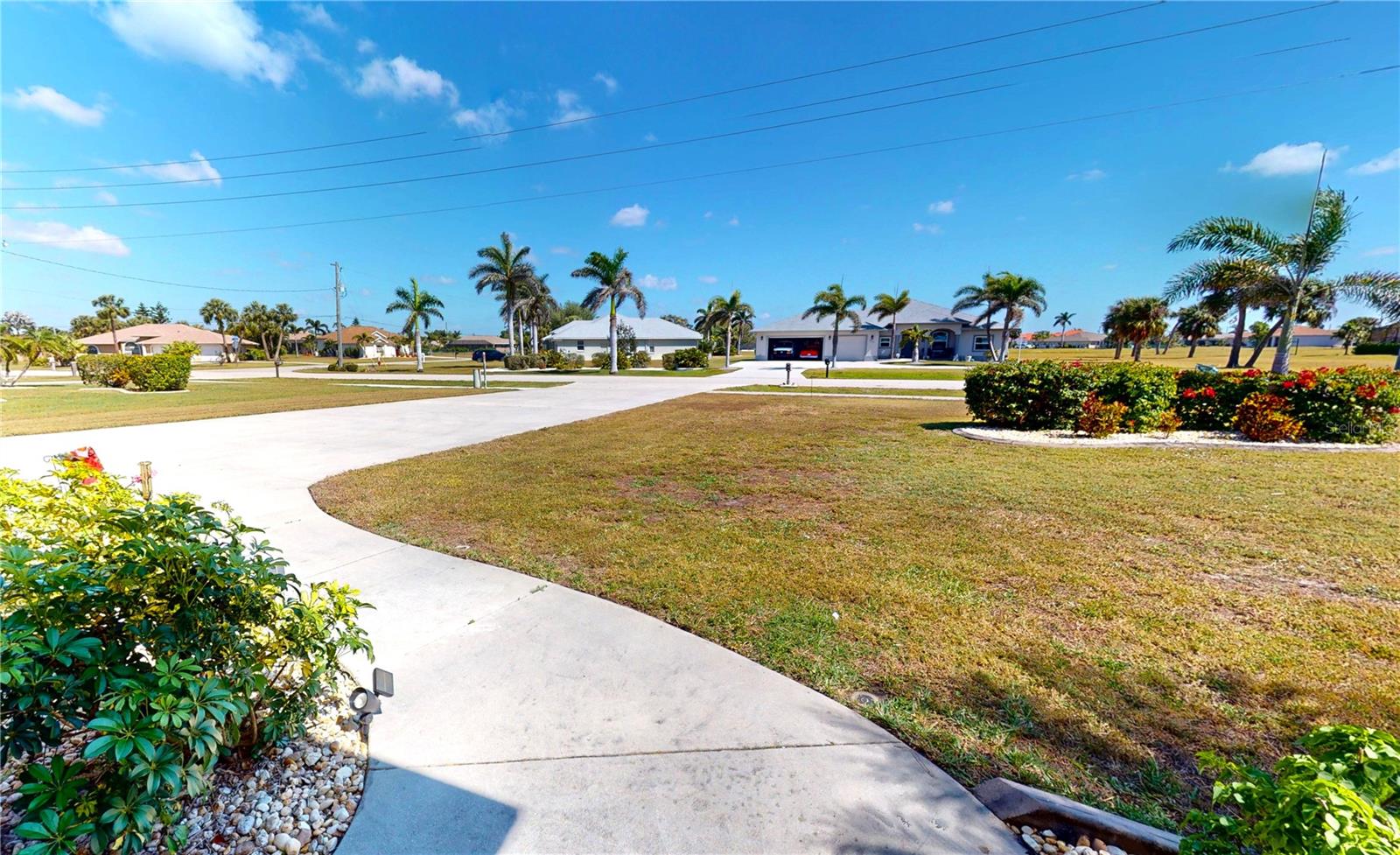 569 ROYAL POINCIANA