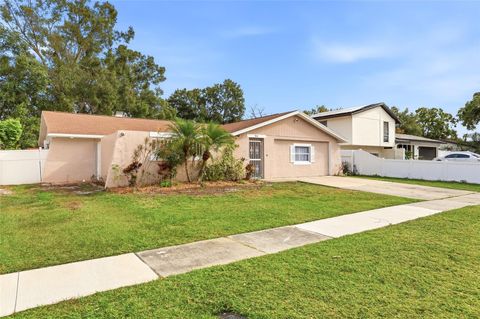 7313 BROOKVIEW CIRCLE TAMPA FL 33634