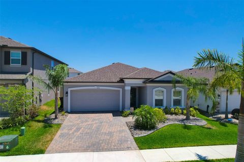 3078 MARINE GRASS DRIVE WIMAUMA FL 33598