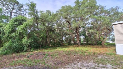 Tiny photo for 2502 SE 179th Avenue, Silver Springs, FL 34488 (MLS # OM724525)