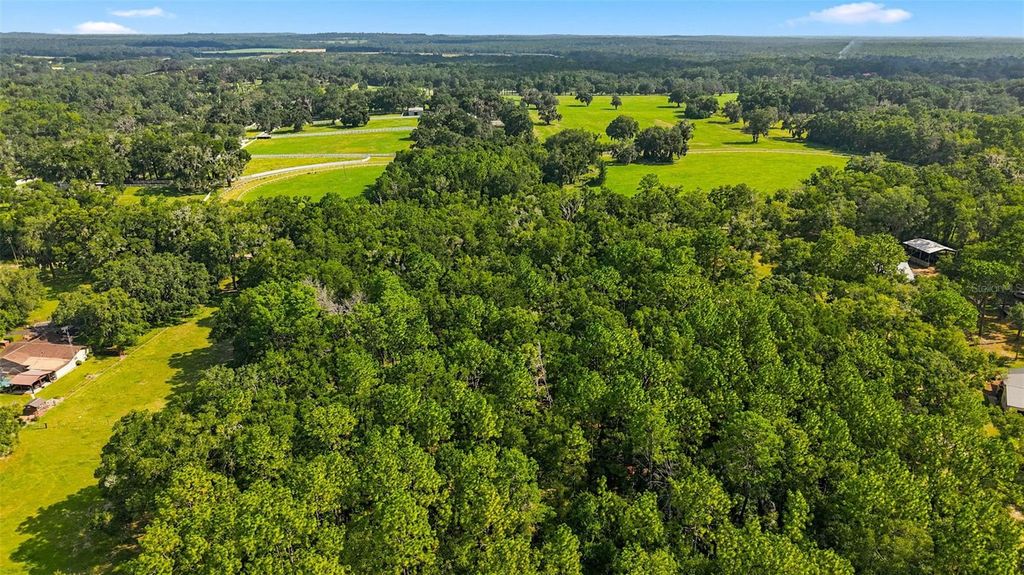 Photo of Lonesome Road, Brooksville, FL 34601 (MLS # W7887899)