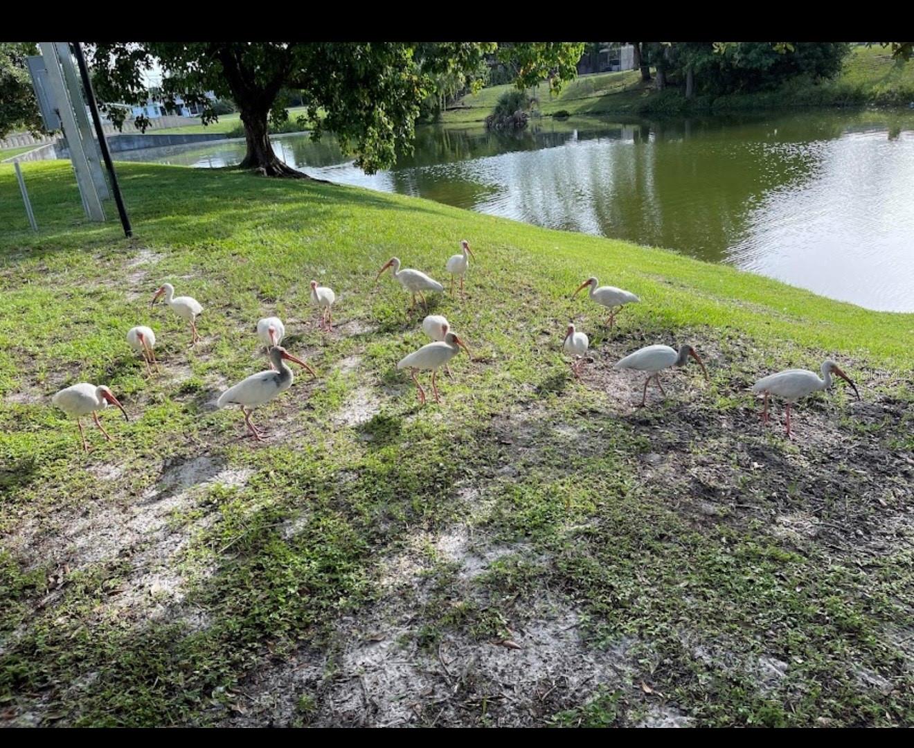 SUNSHINE VILLAS BLDG B - Residential